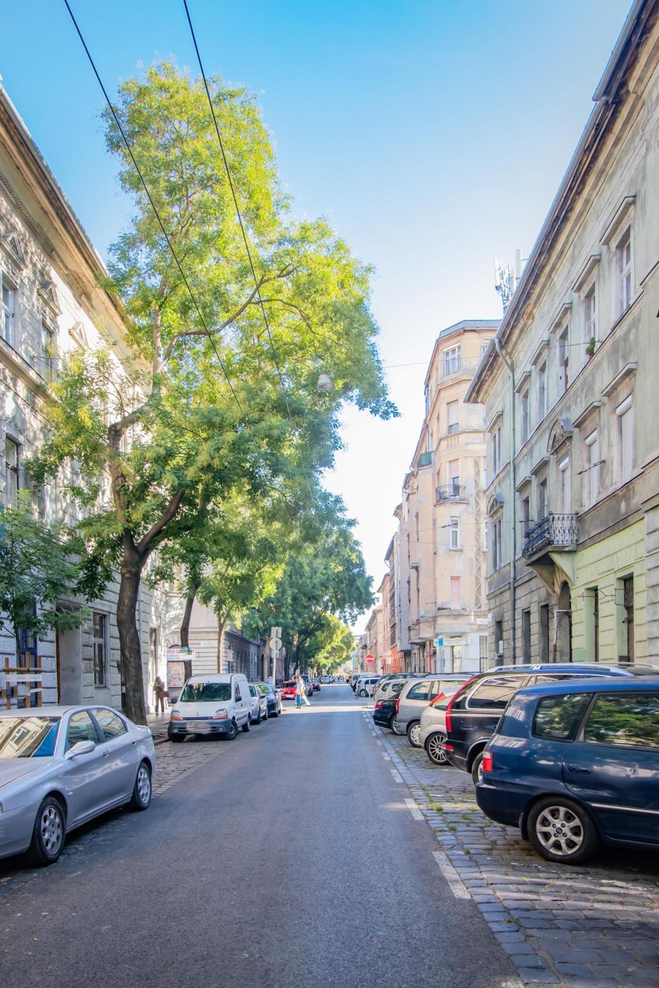 Nefelejcs * Budapest